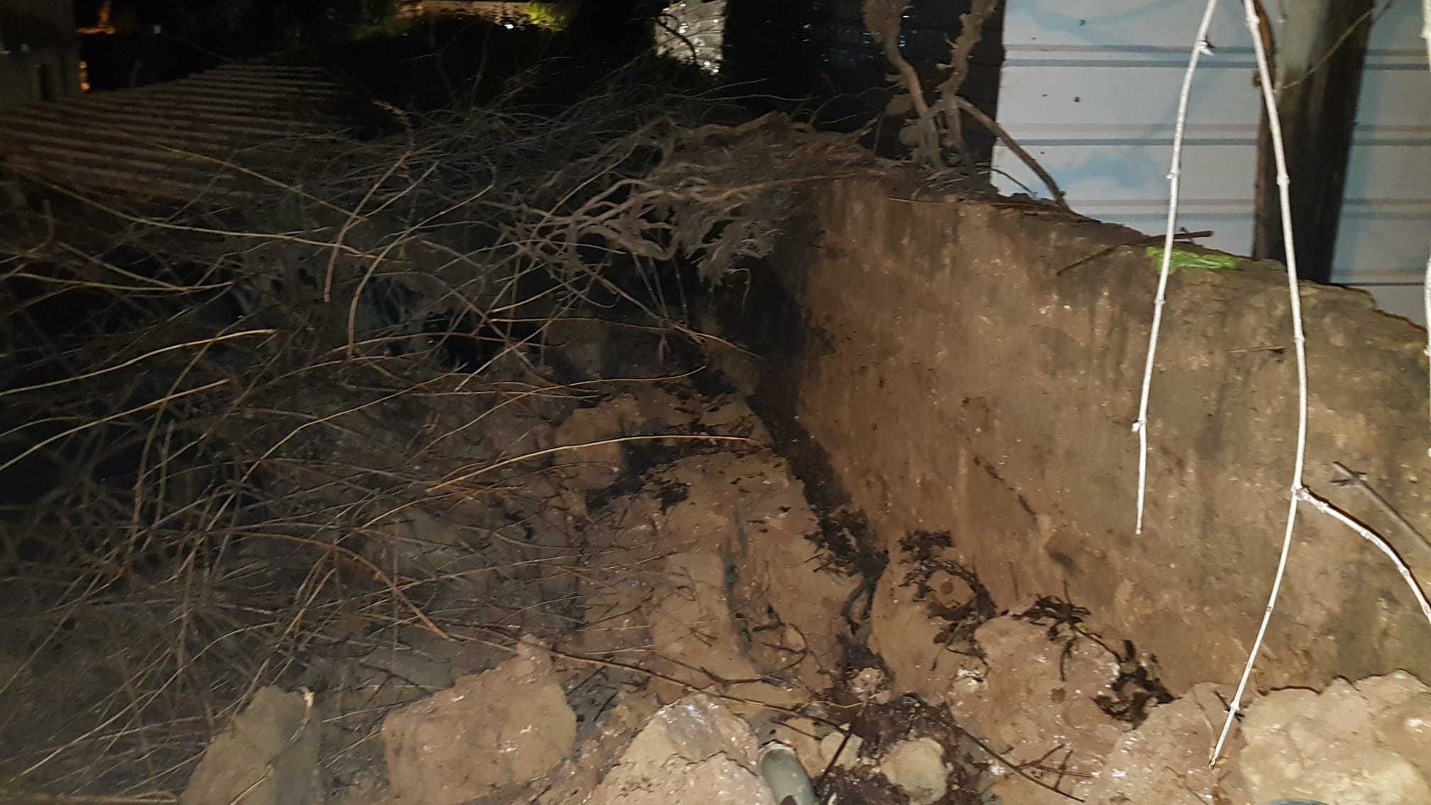 WhatsApp Image 2022-01-21 at 10.19.04 PM.jpeg